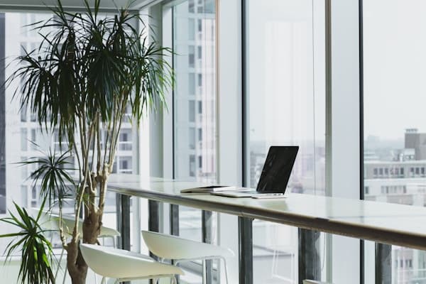 Professional office setting for consultations